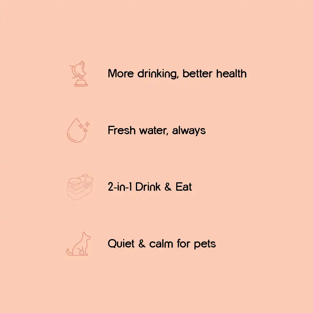 CalmQuench Feeder | 2-in-1 Water Fountain + Feeder