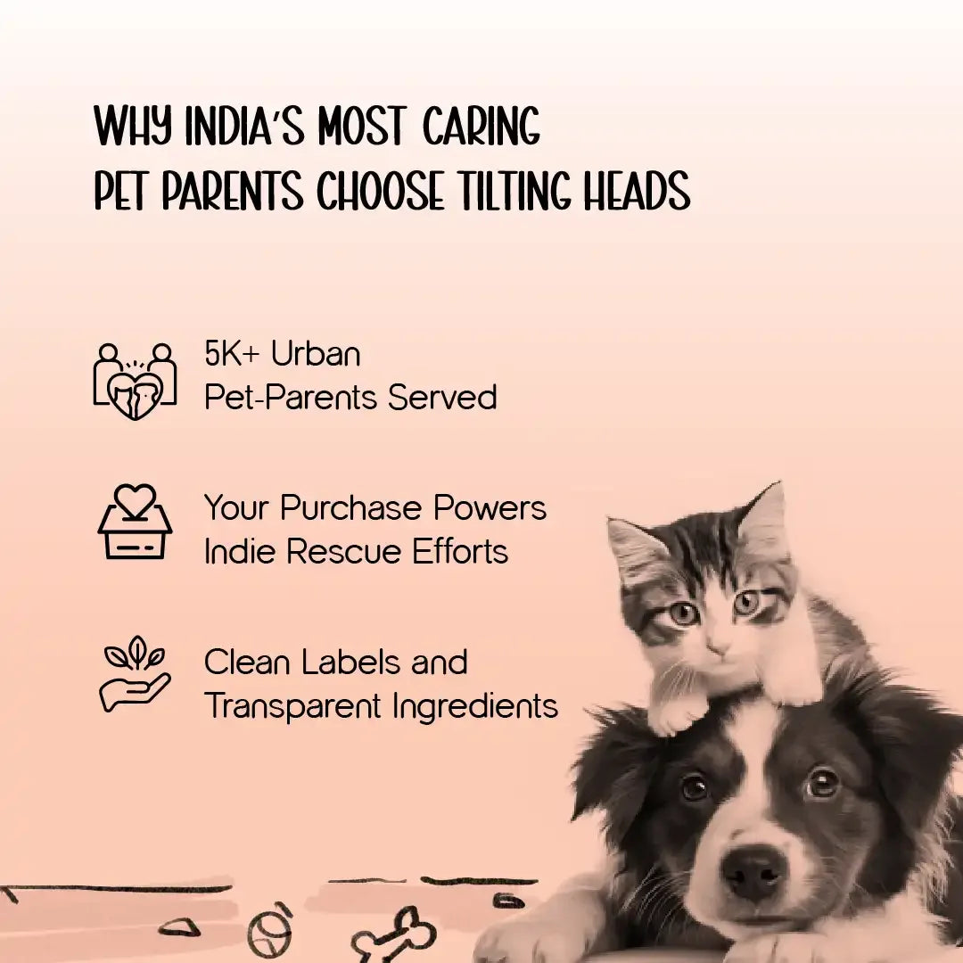 CalmQuench Feeder | 2-in-1 Water Fountain + Feeder - Tilting Heads