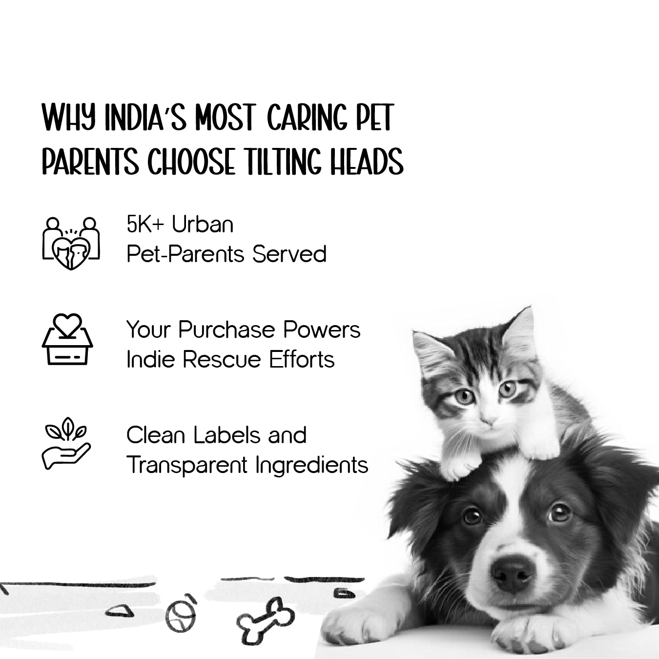 Wander Whiskers | Suitcase-Style Pet Carrier | Air-Comfy Travel