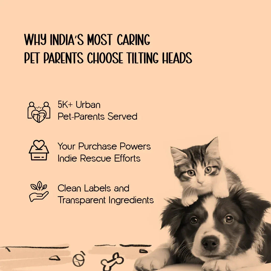 Tilting Heads CP-9700 Pet Clipper | Safe, Reliable & Professional Grooming - Tilting Heads