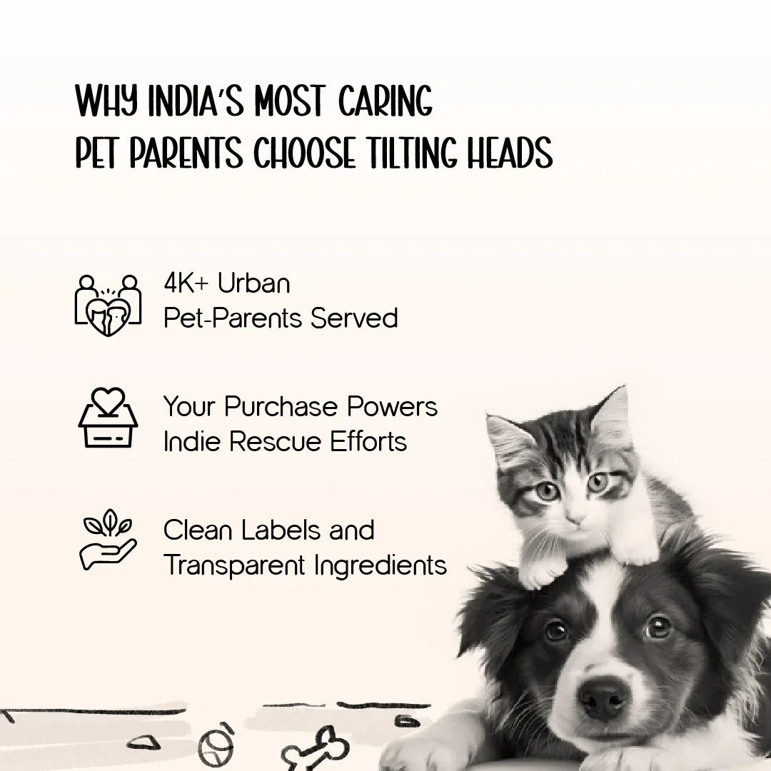 AeroPod | Luxury Pet Carrier Bag | Airline-Friendly Design - Tilting Heads