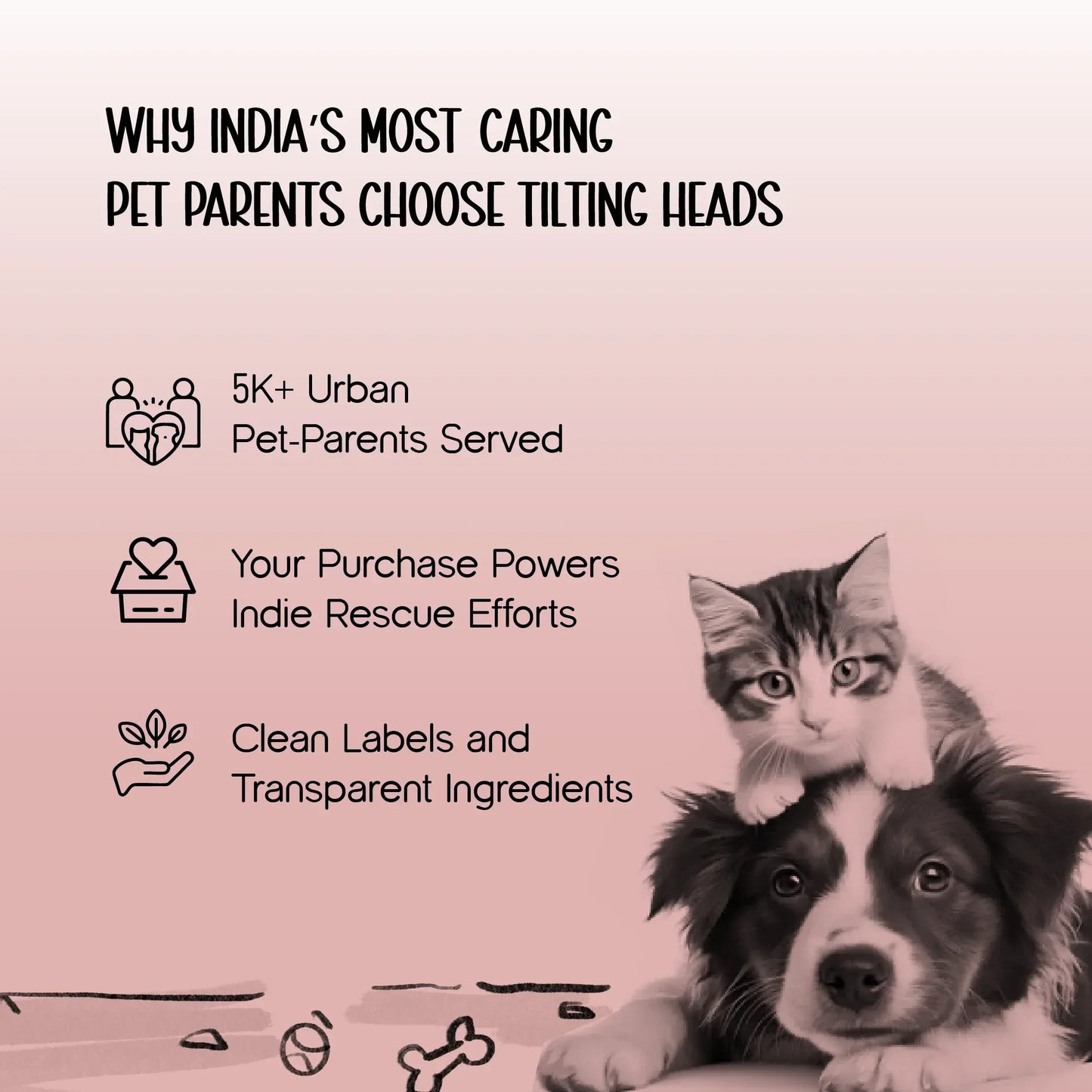 MangoMatte Feeder – Stylish Slow Feeder Bowl for Dogs - Tilting Heads