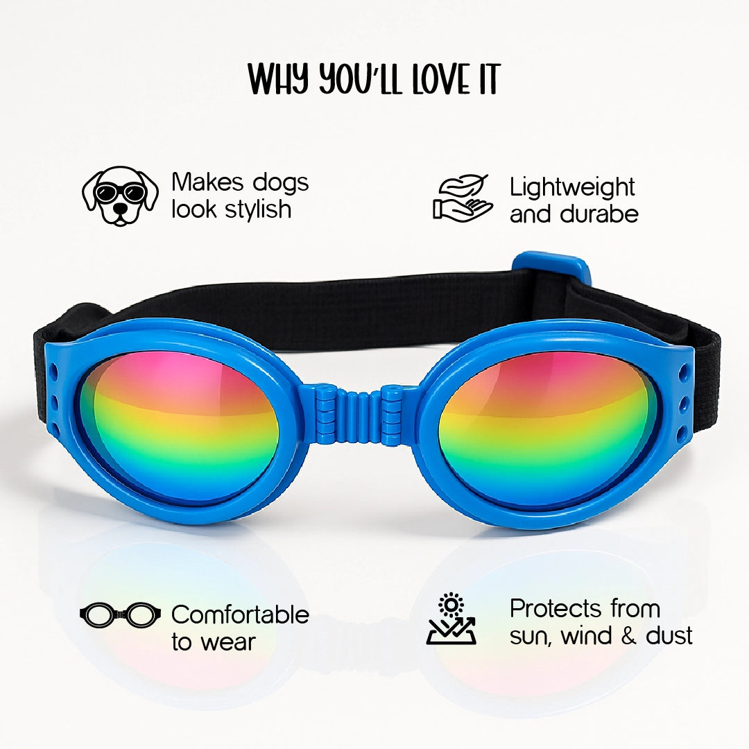 AlphaView Pet Shades – Cool, Comfy Eyewear for Stylish Outdoor Dogs