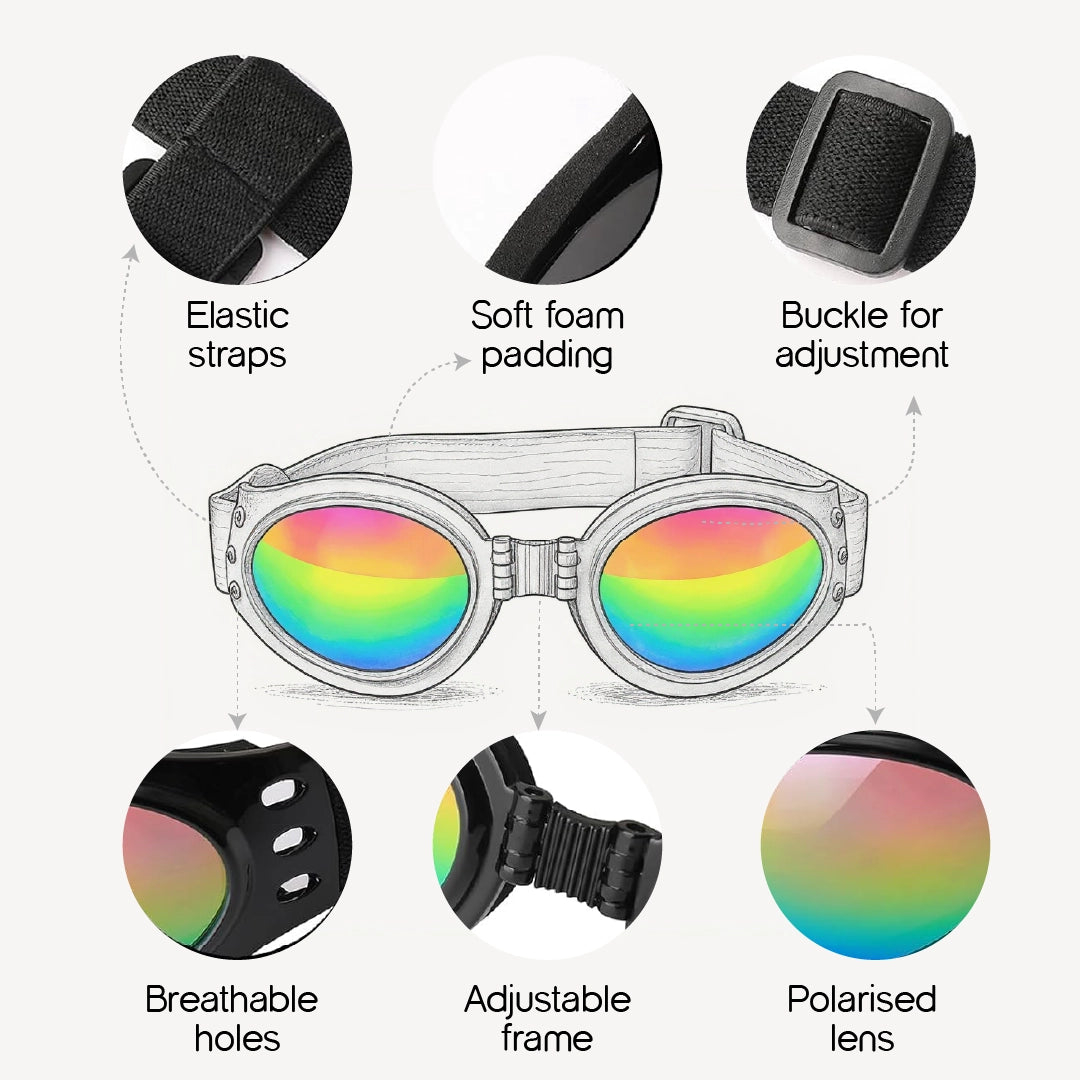 AlphaView Pet Shades – Cool, Comfy Eyewear for Stylish Outdoor Dogs
