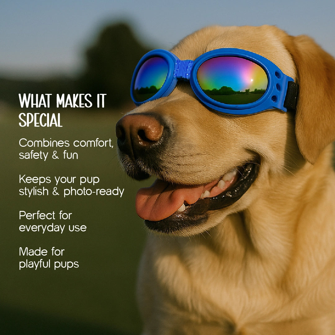 AlphaView Pet Shades – Cool, Comfy Eyewear for Stylish Outdoor Dogs