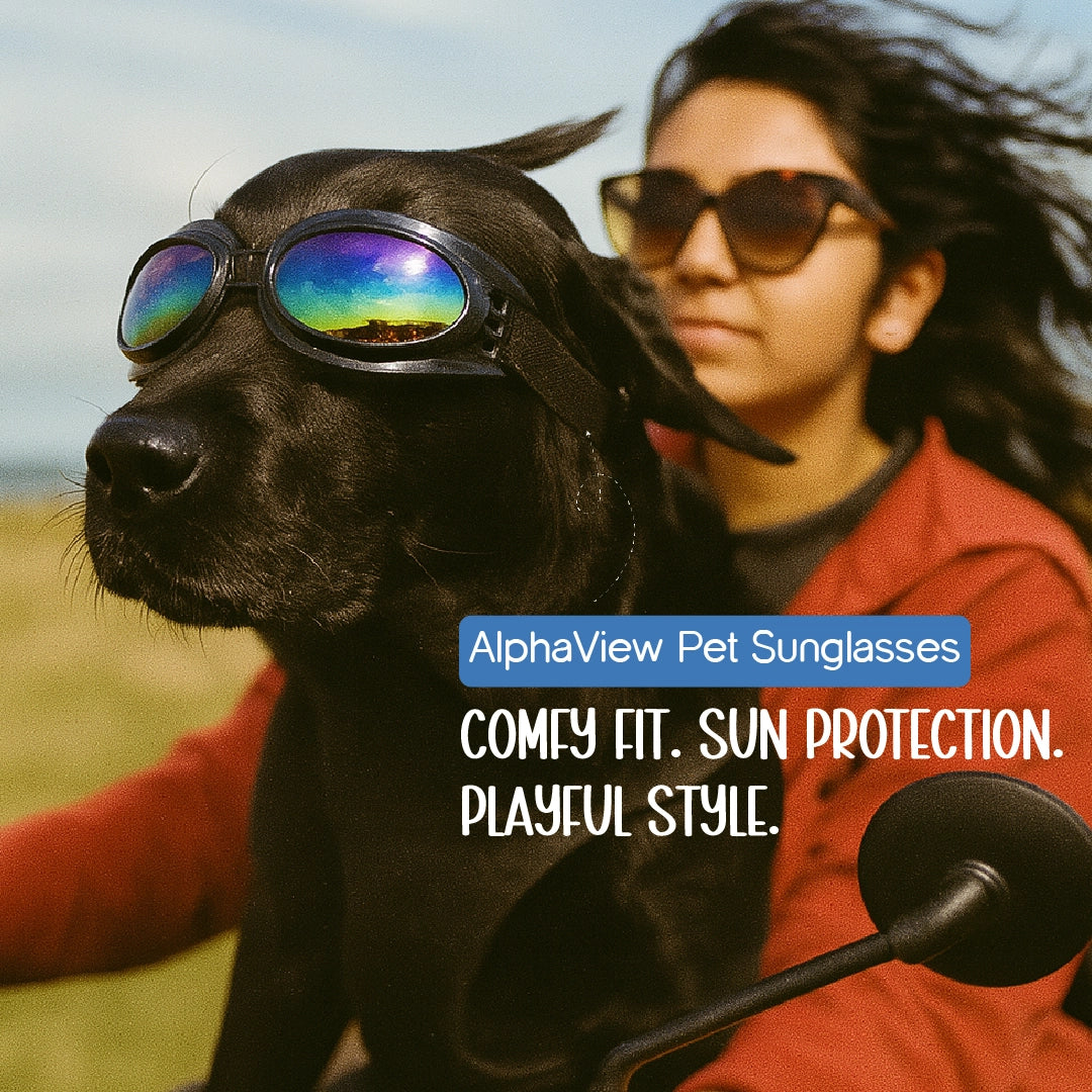 AlphaView Pet Shades – Cool, Comfy Eyewear for Stylish Outdoor Dogs