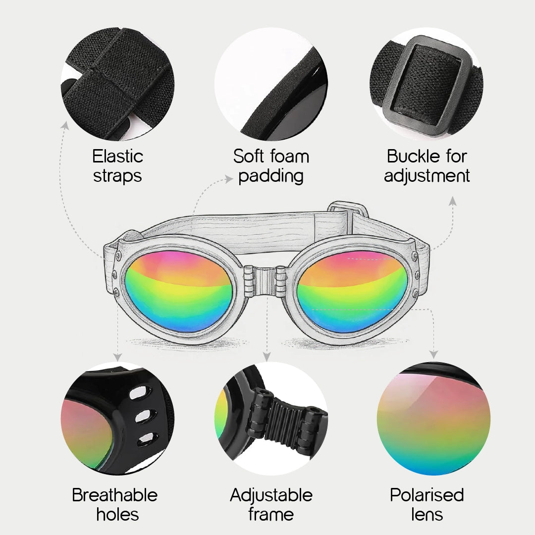 AlphaView Pet Shades – Cool, Comfy Eyewear for Stylish Outdoor Dogs