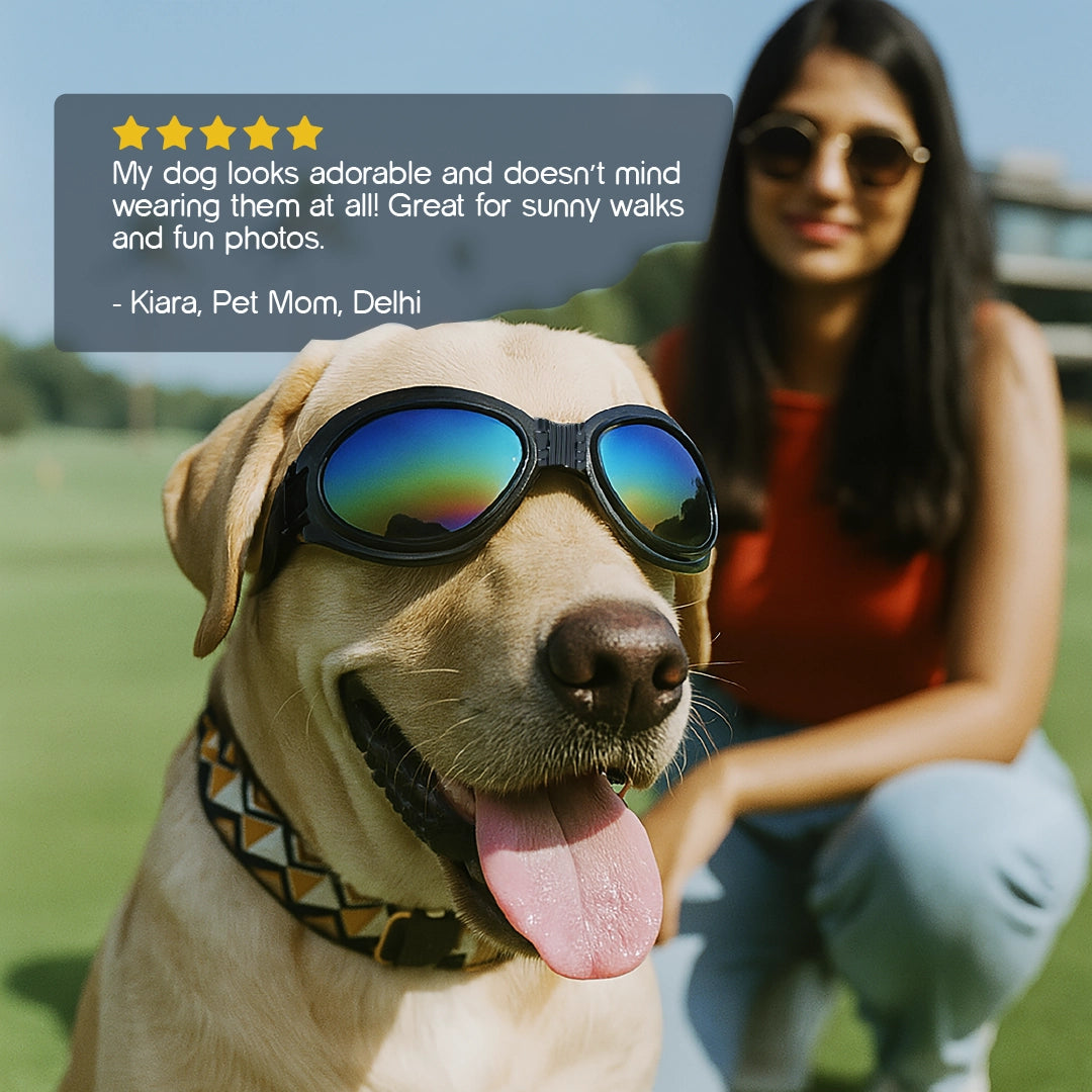 AlphaView Pet Shades – Cool, Comfy Eyewear for Stylish Outdoor Dogs