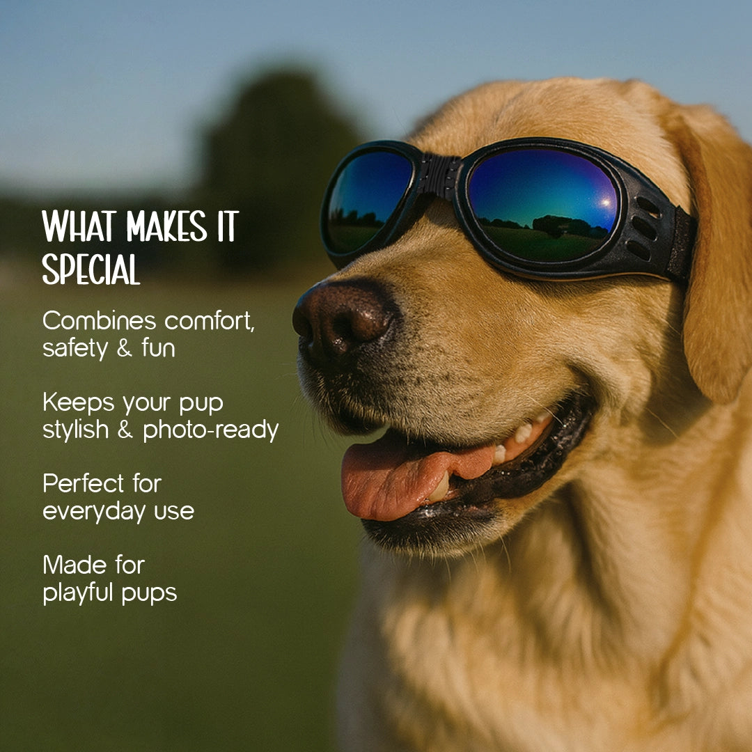 AlphaView Pet Shades – Cool, Comfy Eyewear for Stylish Outdoor Dogs