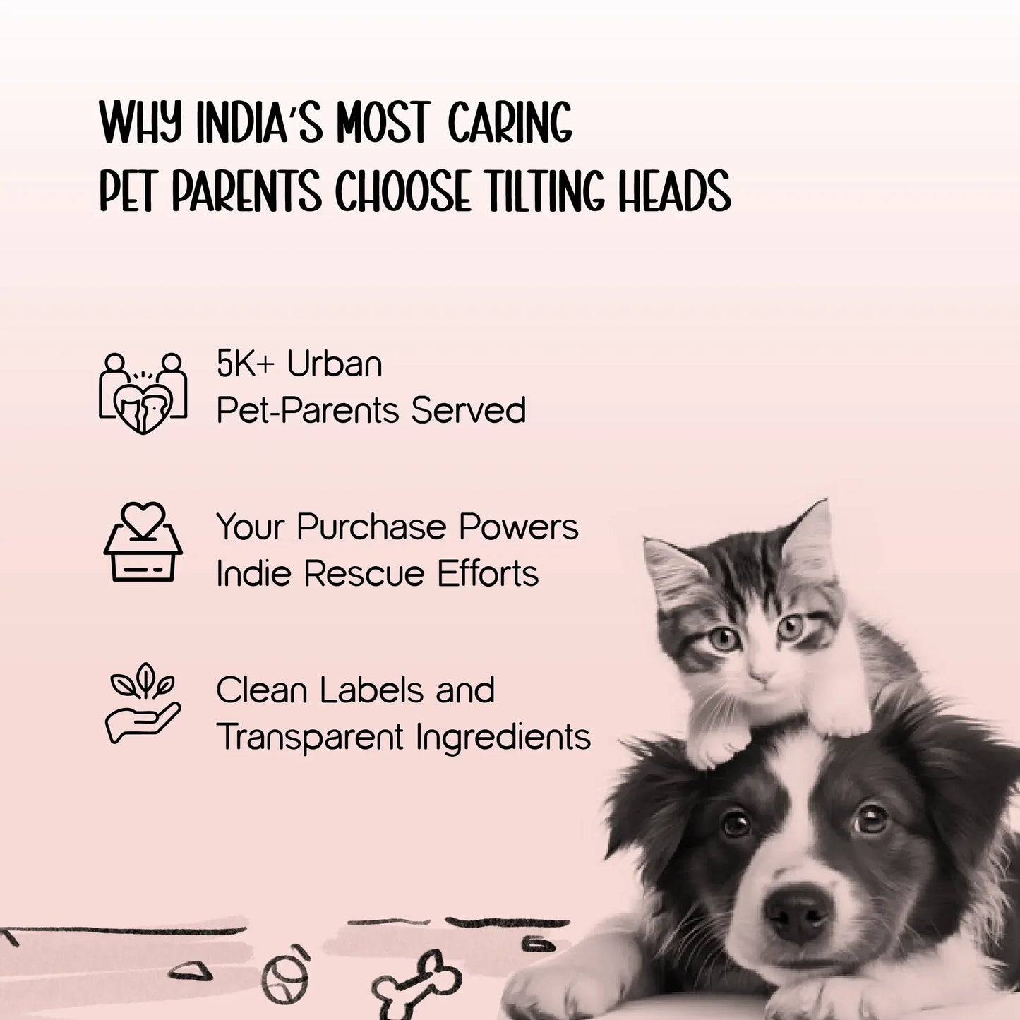 ComfortGrip Bungee Leash | Shock-Absorbing Leash for Active Dogs - Tilting Heads