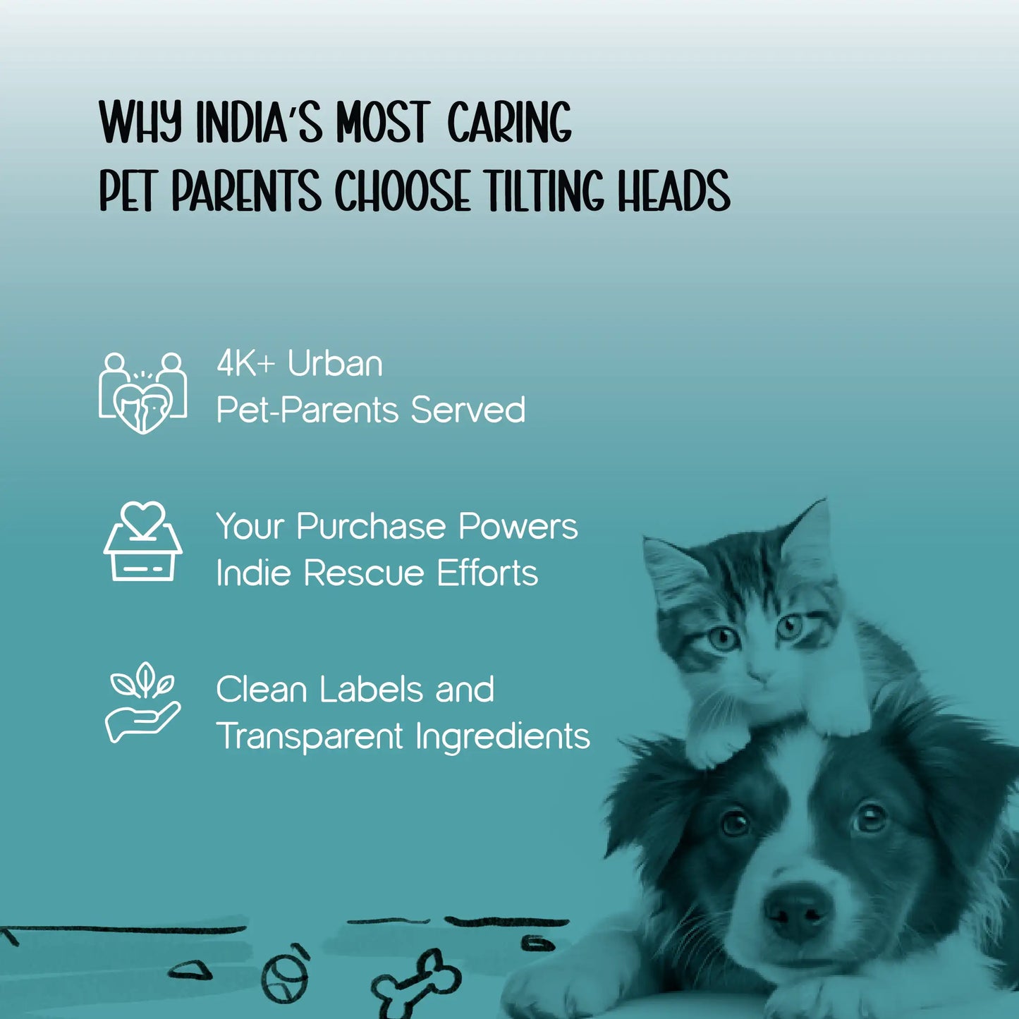 ComfortCrib | Cat Cave | Premium & Comfortable