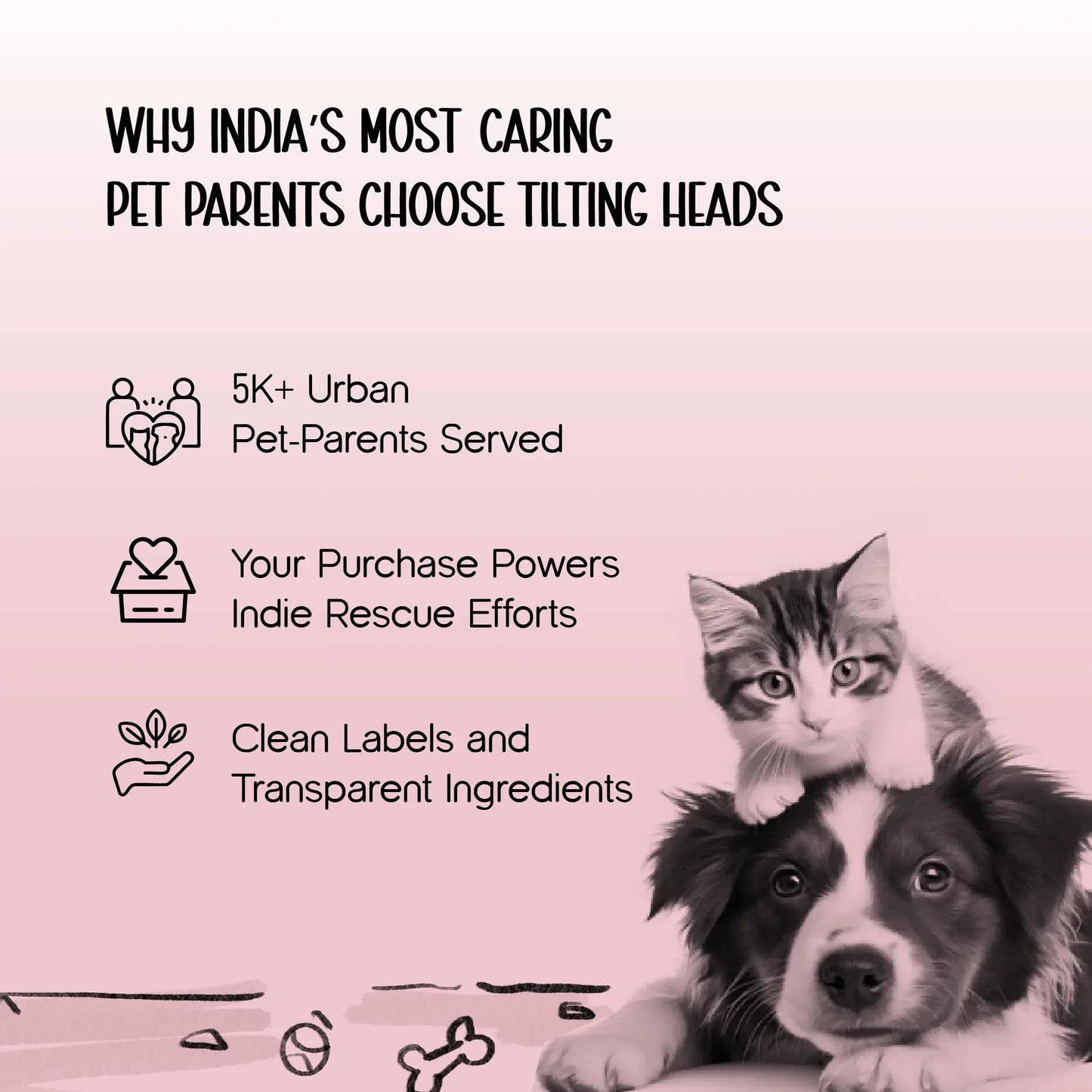 BellBop Toy – A Rolling Bell Toy That Keeps Cats Active & Happy - Tilting Heads