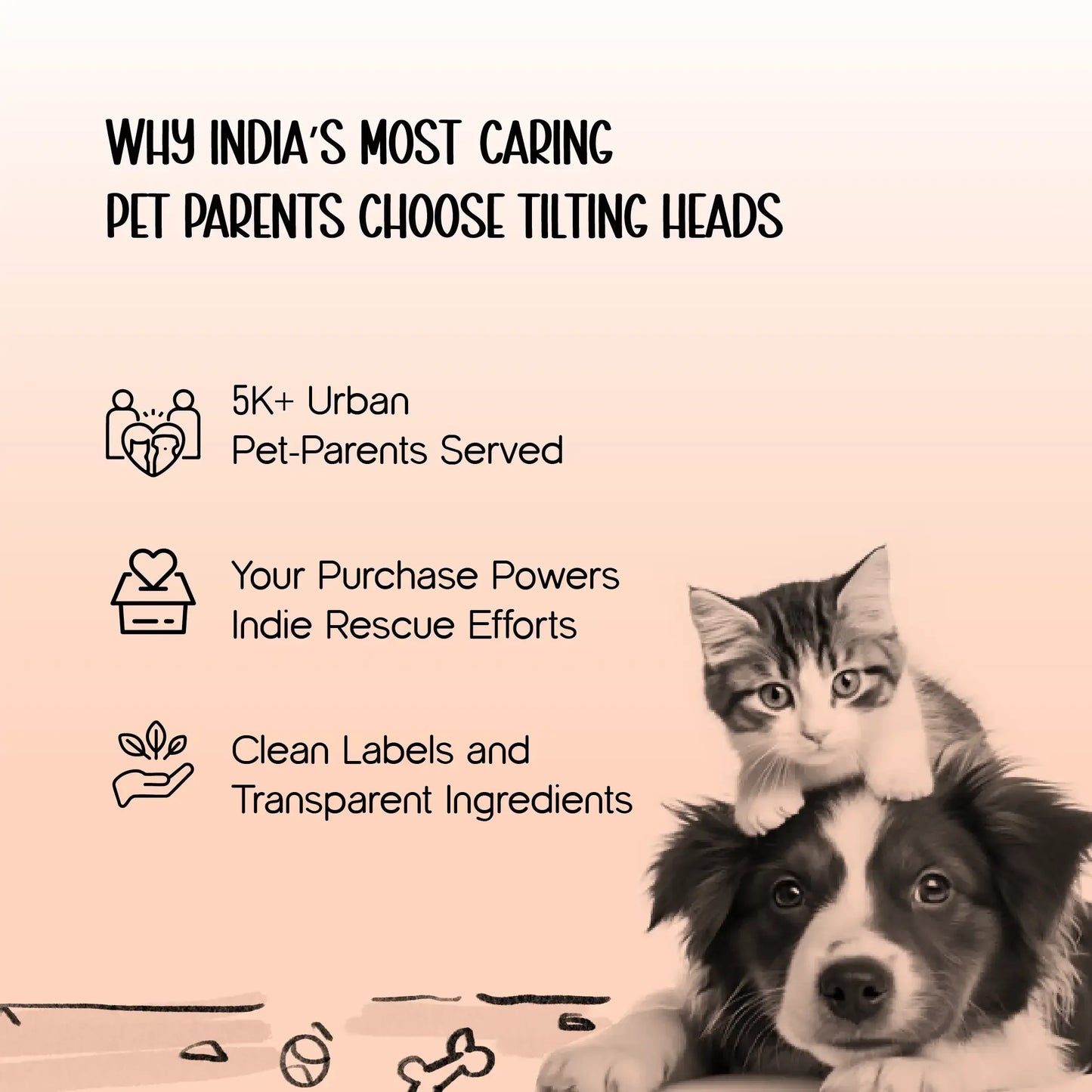 BunnyGlide Boots | Premium Small Pet Shoes for Paw Safety & Style - Tilting Heads