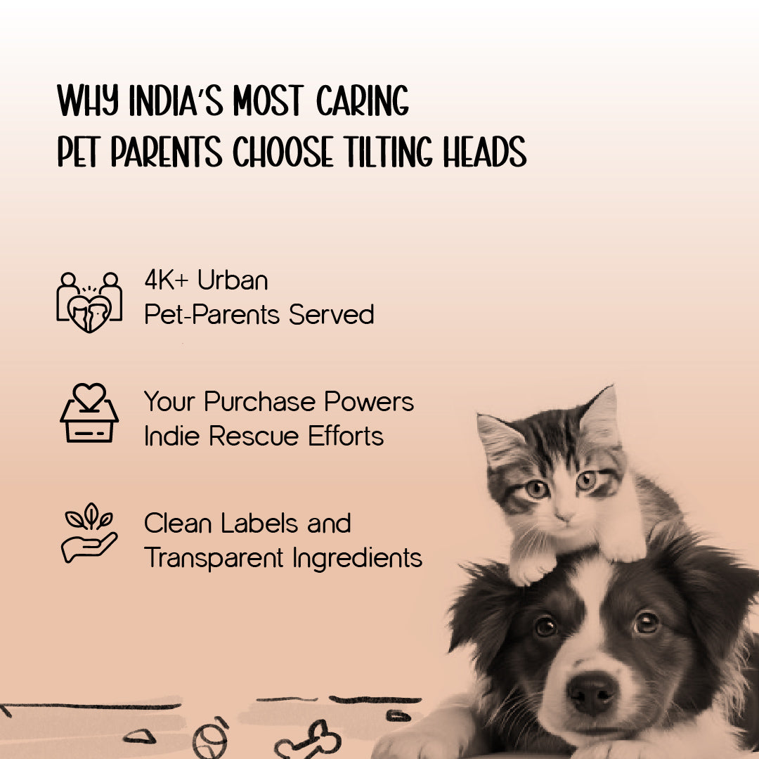 FeedSync Pro | Smart Pet Feeder | Automatic Functionality