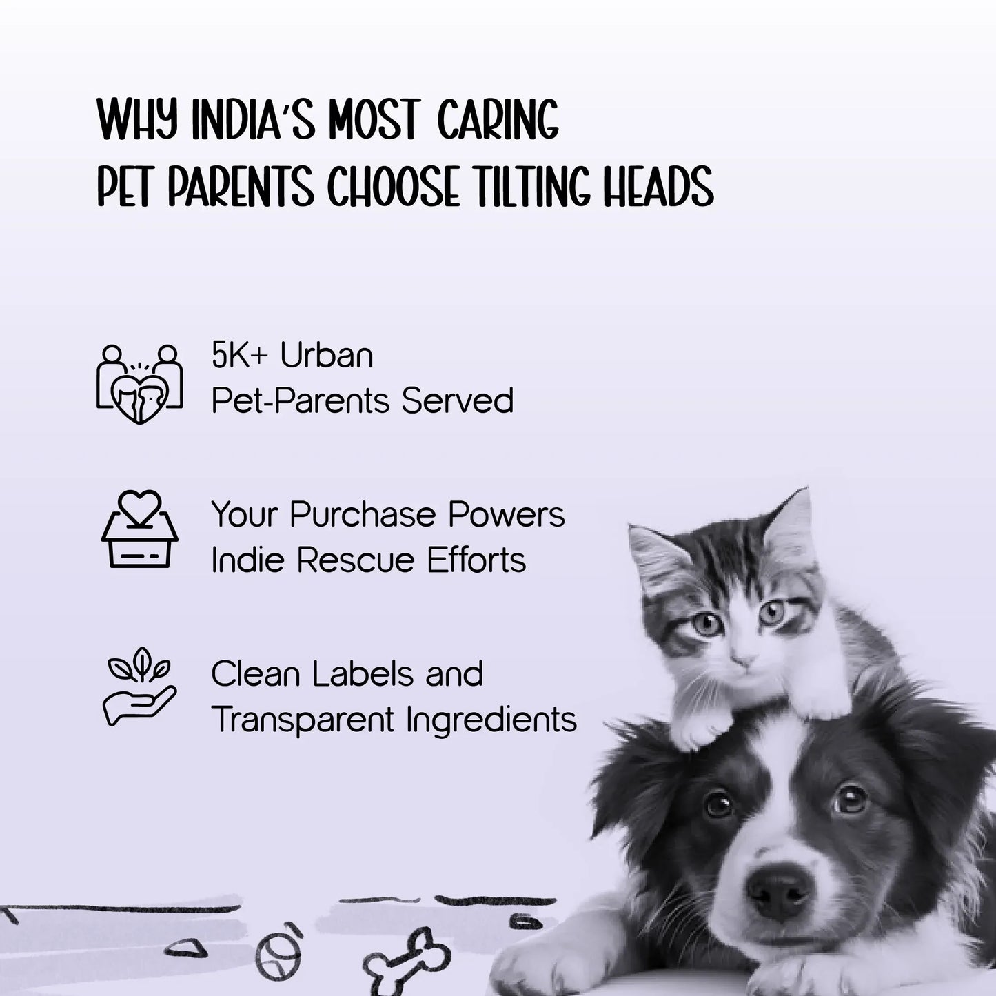 Gripster Shoes | Anti-Slip Paw Protection | Comfort & Safety in Every Step - Tilting Heads