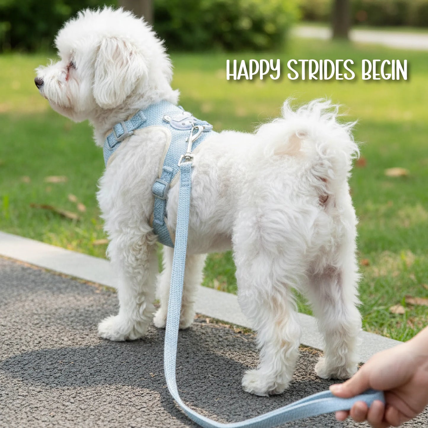 Kindred Harness | Stylish Safety | Comfort for Everyday Walks
