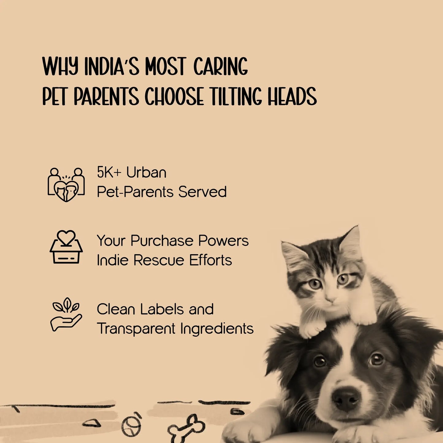 Meow Scratch Lounge – Cat Scratcher & Relax Bed - Tilting Heads