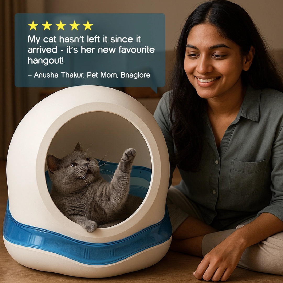 Meow Cave – Covered Cat Lounge with Built-in Scratch Board | Safe, Cozy & Enclosed