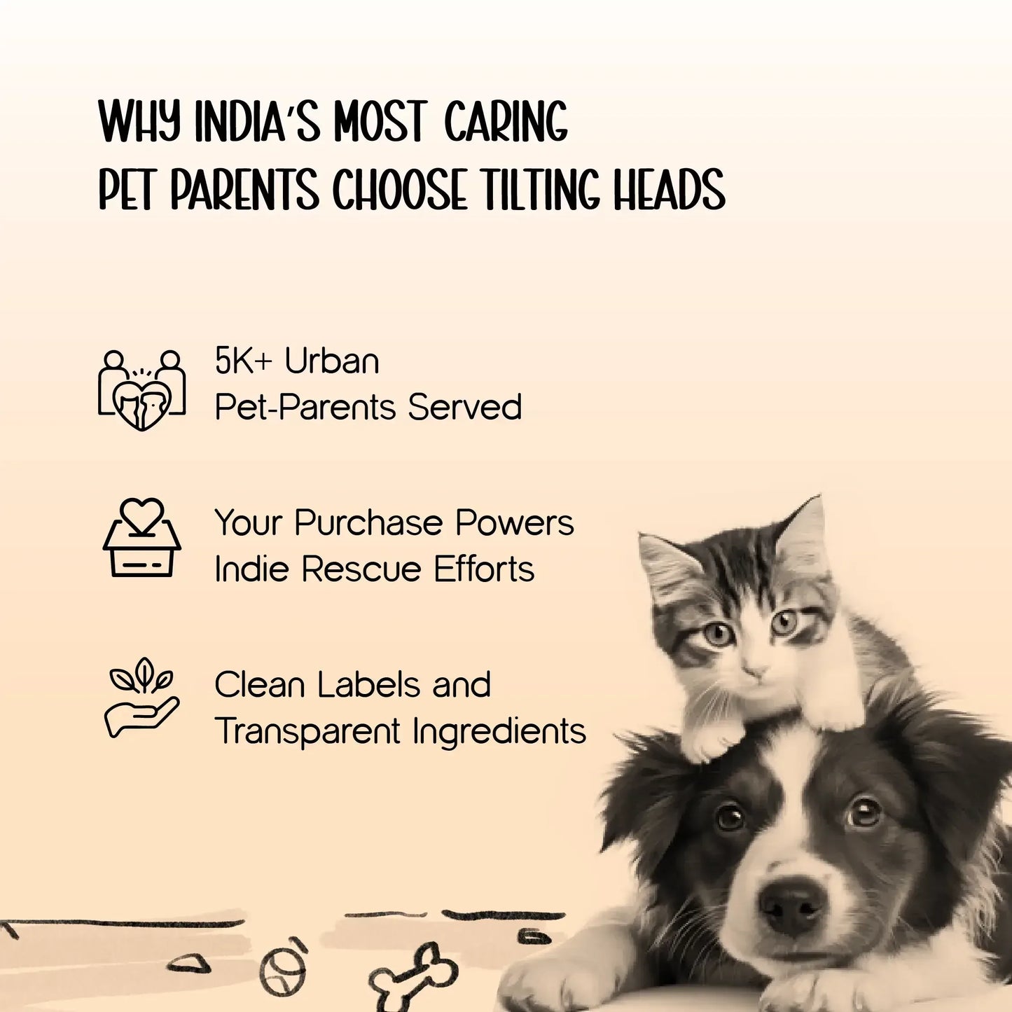 SnapCase | Foldable Pet Carrier – Safe, Airy & Travel-Ready Comfort - Tilting Heads