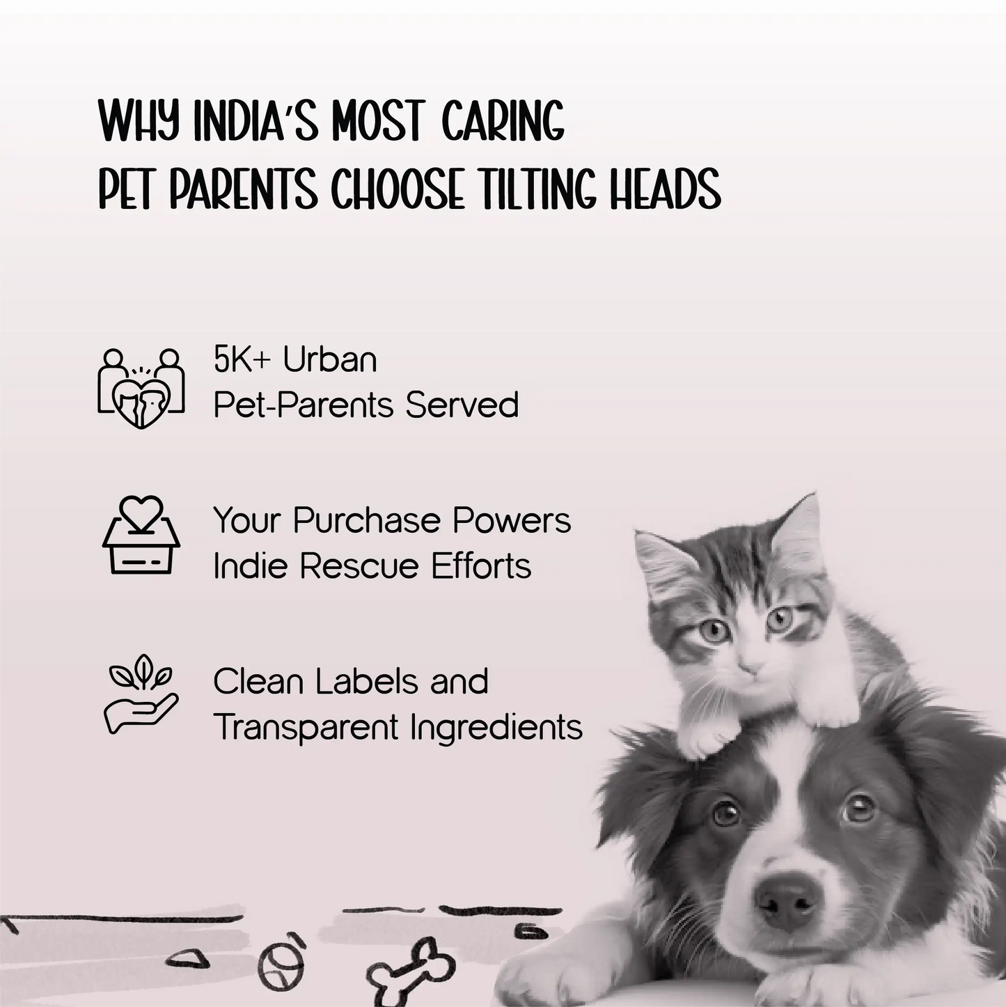 Paw Balm – Triple-Butter Formula | Fast-Absorbing | Lick-Safe Protection