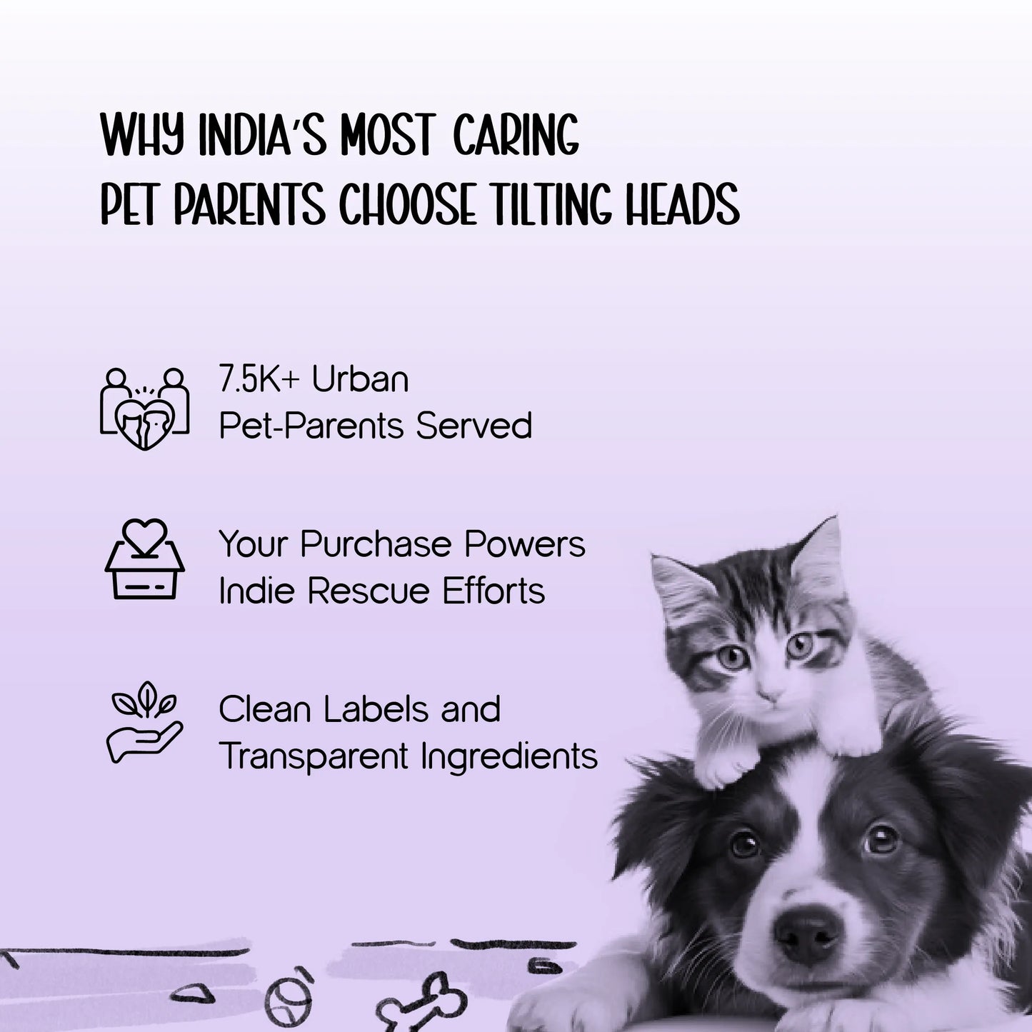 Persona Jacket | Winter Comfort Tailored to Your Pet’s Unique Personality | Denim Look | Soft Puffer Lining