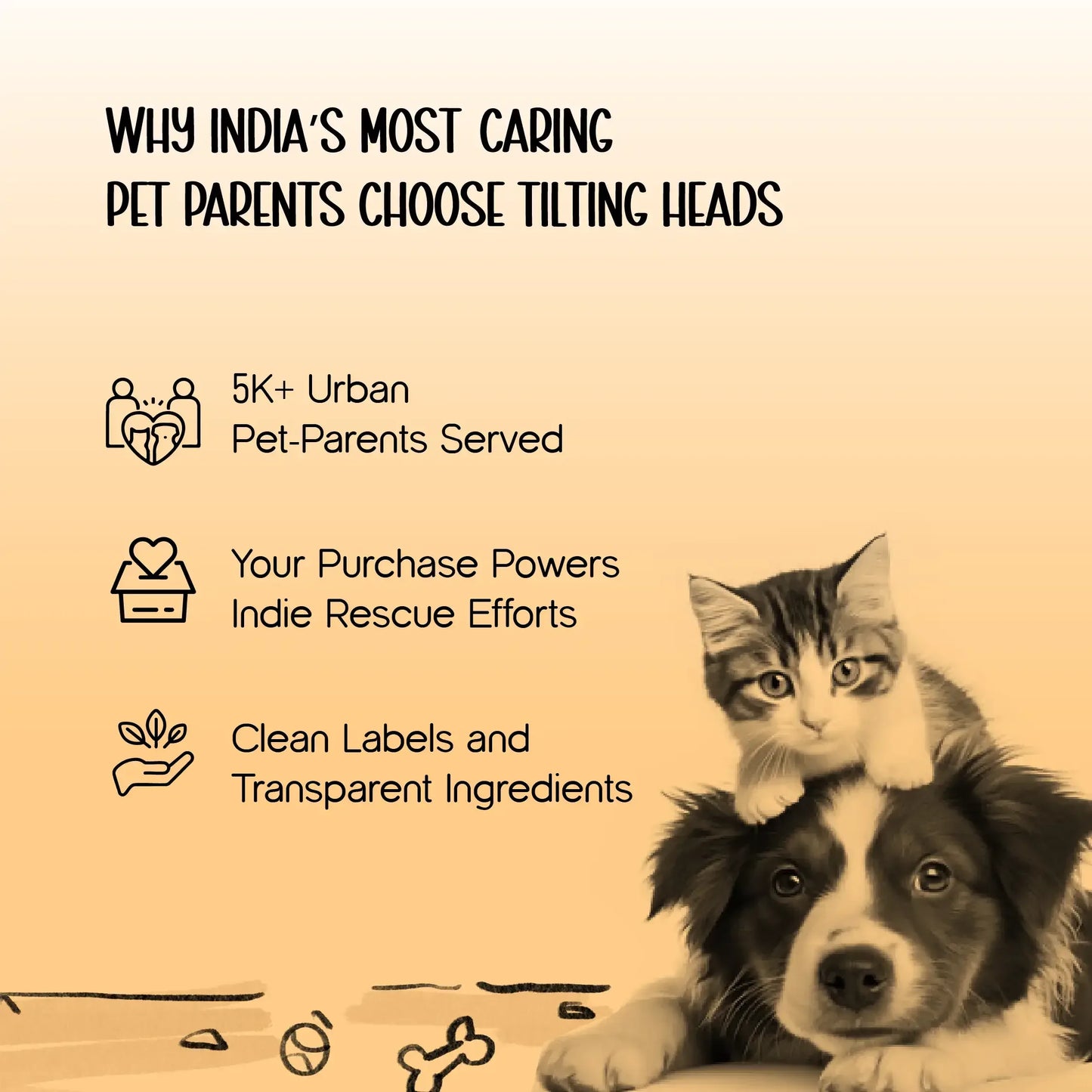 MessGuard Mat – All-Purpose Dirt & Dust Catcher - Tilting Heads