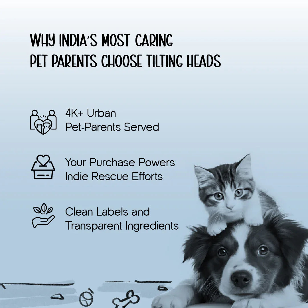 Skin Microbiome Shampoo | Dog & Cat Shampoo for Balanced Skin - Tilting Heads