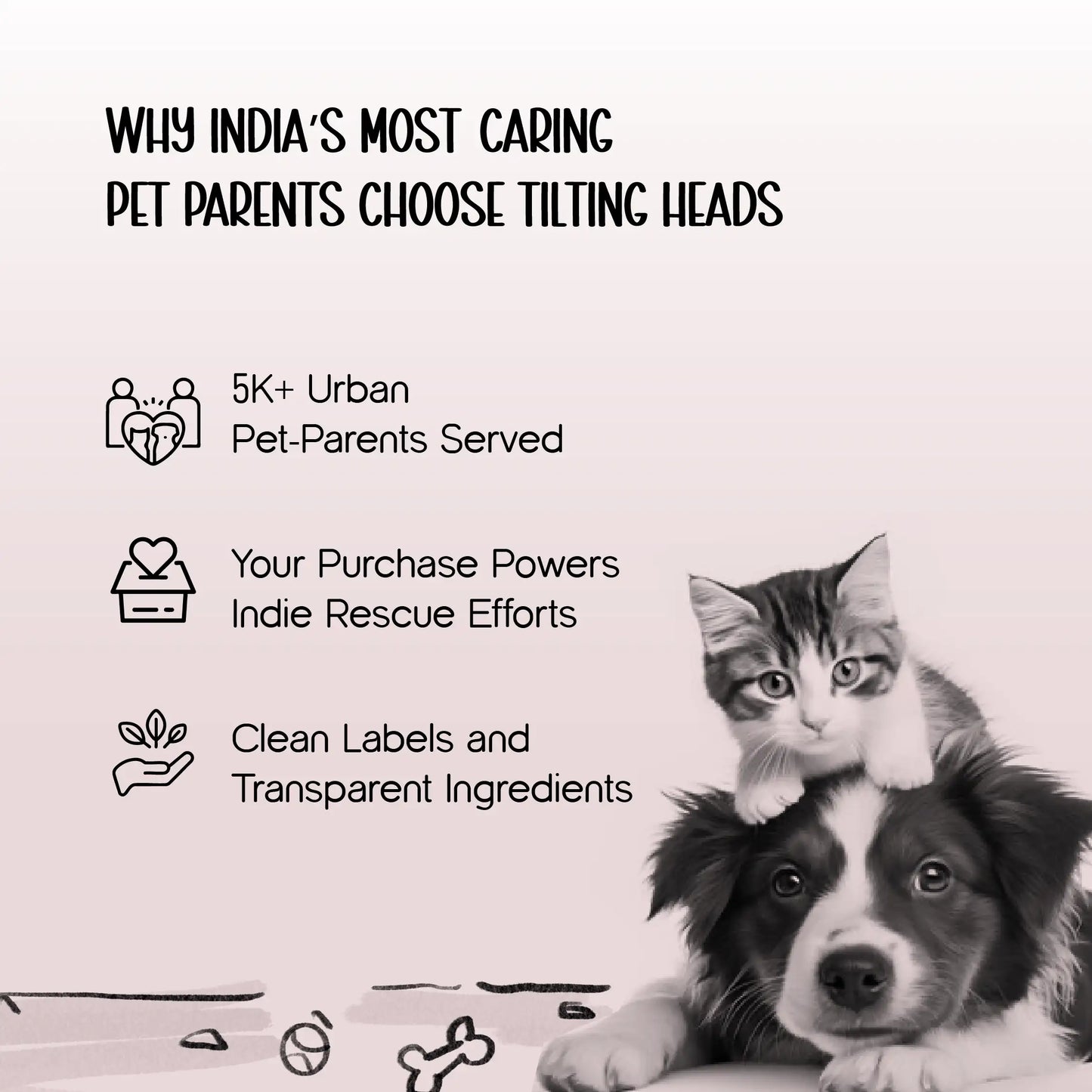 Ultimate Dog Birthday Kit – Grooming, Gear & Party-Ready Style