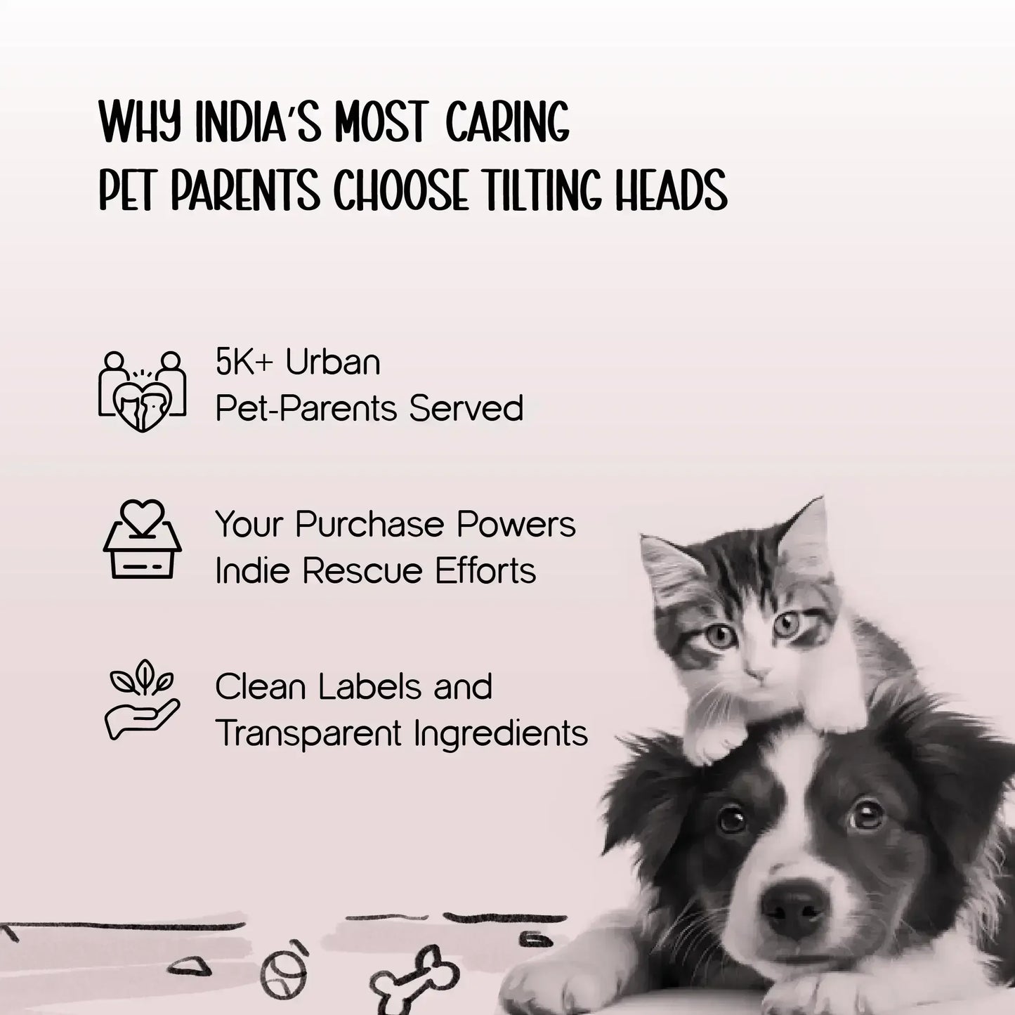 MealTrack Feeder – Automatic Cat Feeder with 6 Meal Spaces - Tilting Heads