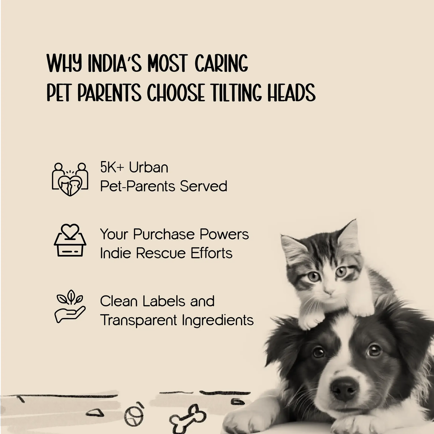 SnoozeScratch – The Cozy Den & Scratch Spot Your Cat Will Love - Tilting Heads