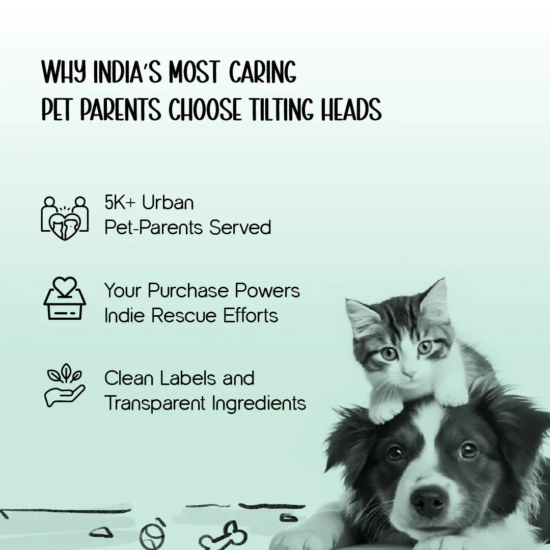 Pet Safe Ear Care Solution – Gentle, Daily Ear Cleaning for Pets - Tilting Heads