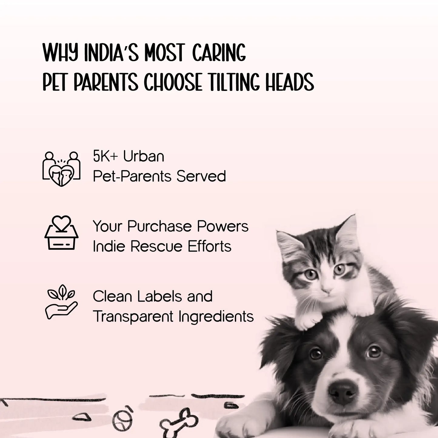 SteadyDiner | Magnetic Bowls | Mess-Free Mealtime for Pets - Tilting Heads