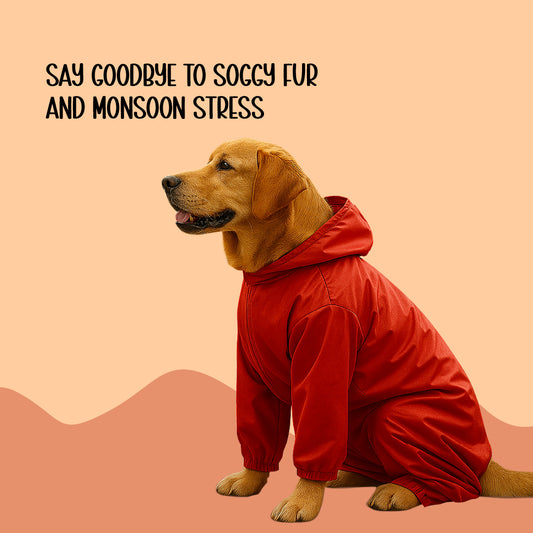 StormGuard Jacket | Dog Raincoat | For Breezy Walks in Rainy Weather