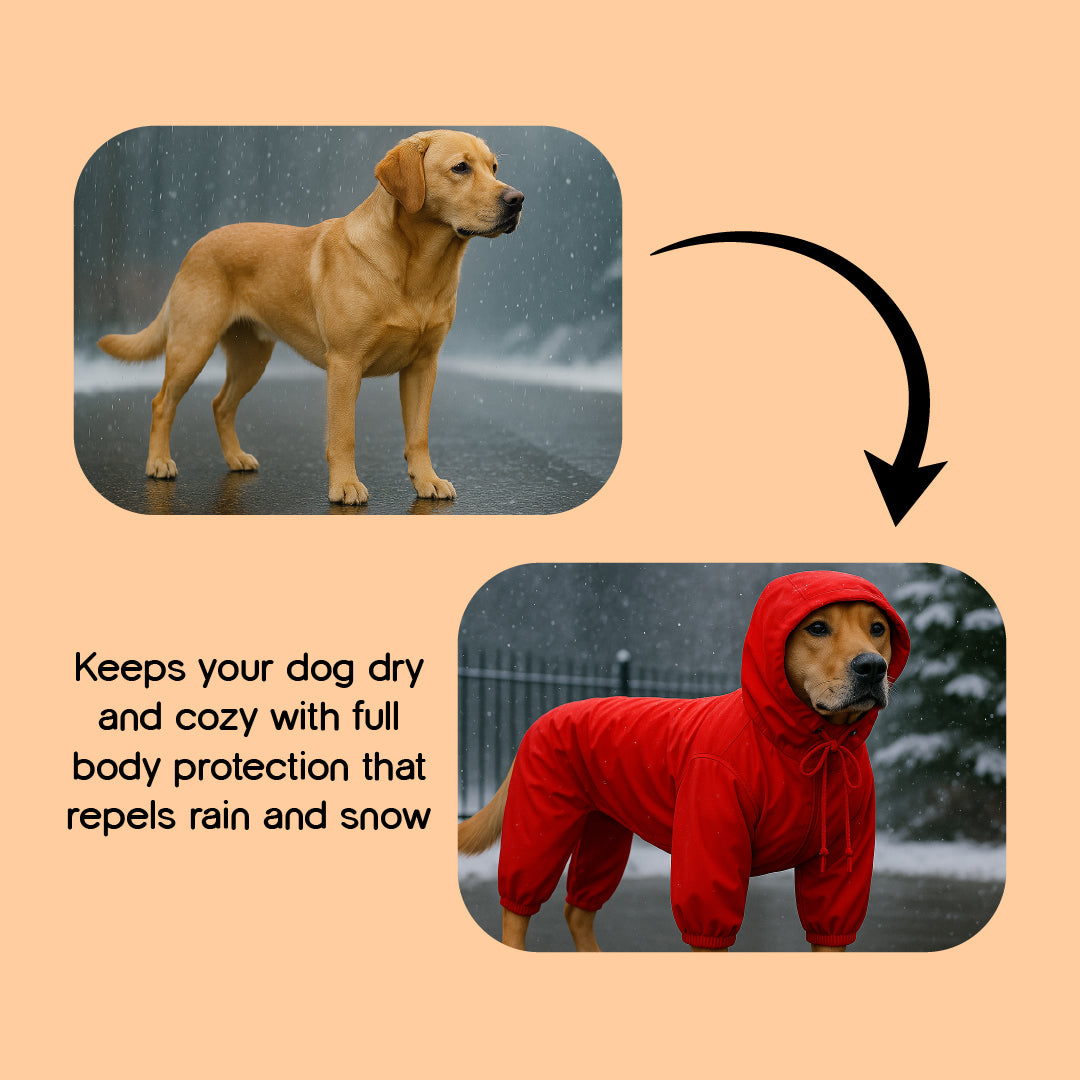 StormGuard Jacket | Dog Raincoat | For Breezy Walks in Rainy Weather