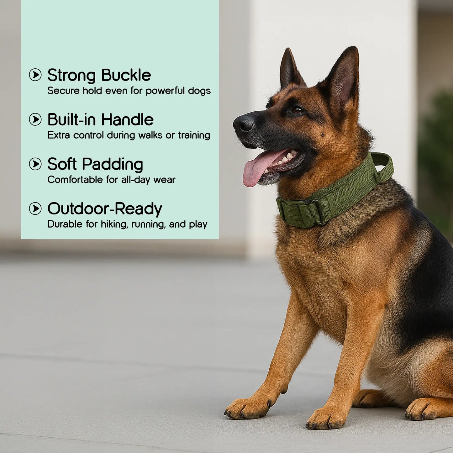 TitanK9 Tactical Collar | Secure Hold | Tactical Gear for Active Dogs