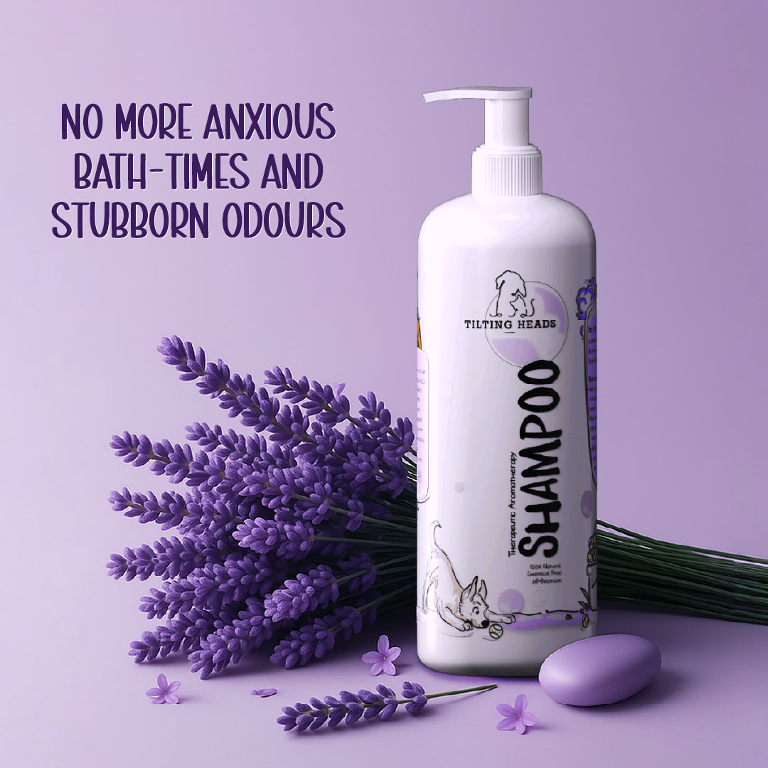 Therapeutic Aromatherapy Dog Shampoo - Tilting Heads