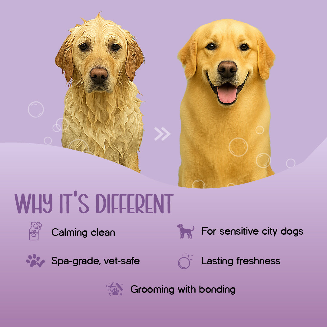 Therapeutic Aromatherapy Dog Shampoo - Tilting Heads