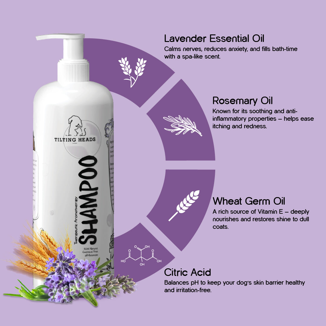 Therapeutic Aromatherapy Dog Shampoo - Tilting Heads