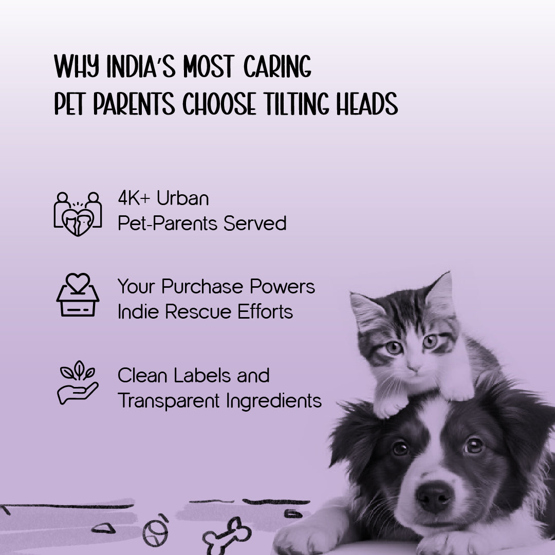 Therapeutic Aromatherapy Dog Shampoo - Tilting Heads