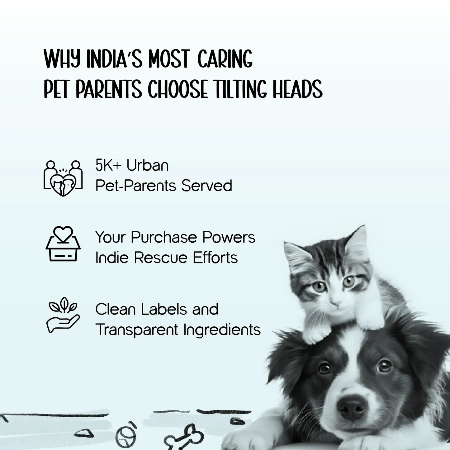 TrekPack Pet Carrier Bag – All-Season Comfort & Secure Carry - Tilting Heads