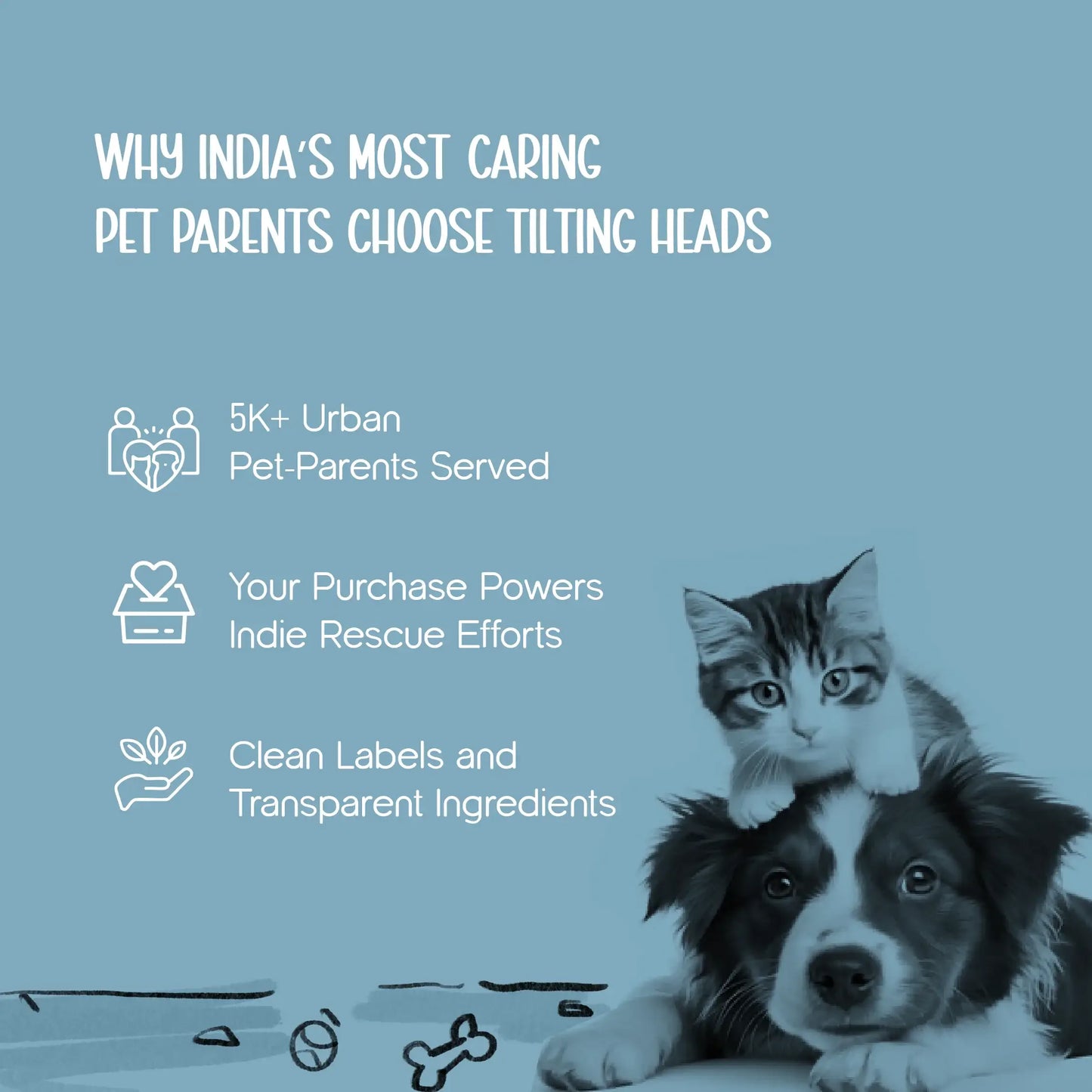 AutoWhirl Spinner – Smart Treat Dispenser for Cats