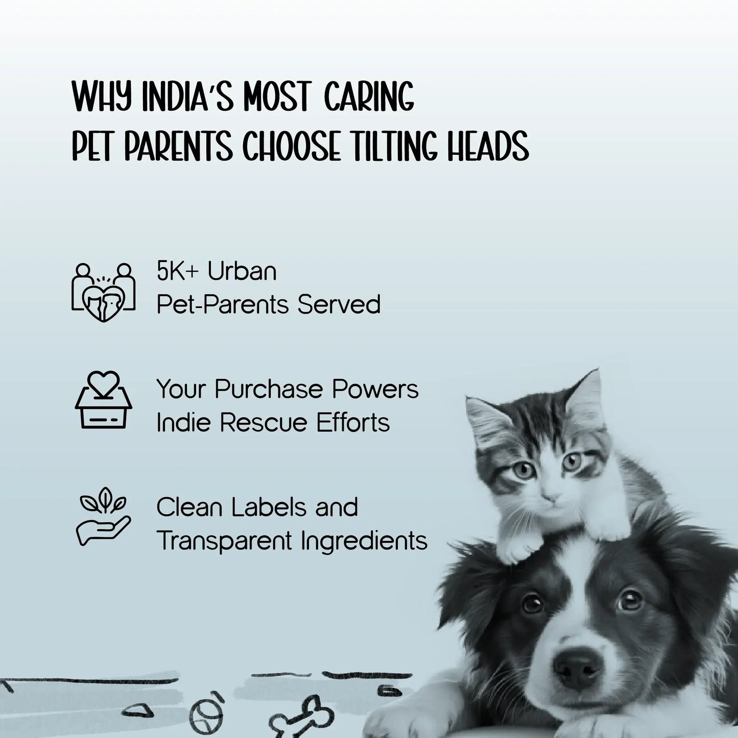 WildTrail Boots | Winter-Ready, Waterproof & Non-Slip | Built for All Terrains - Tilting Heads