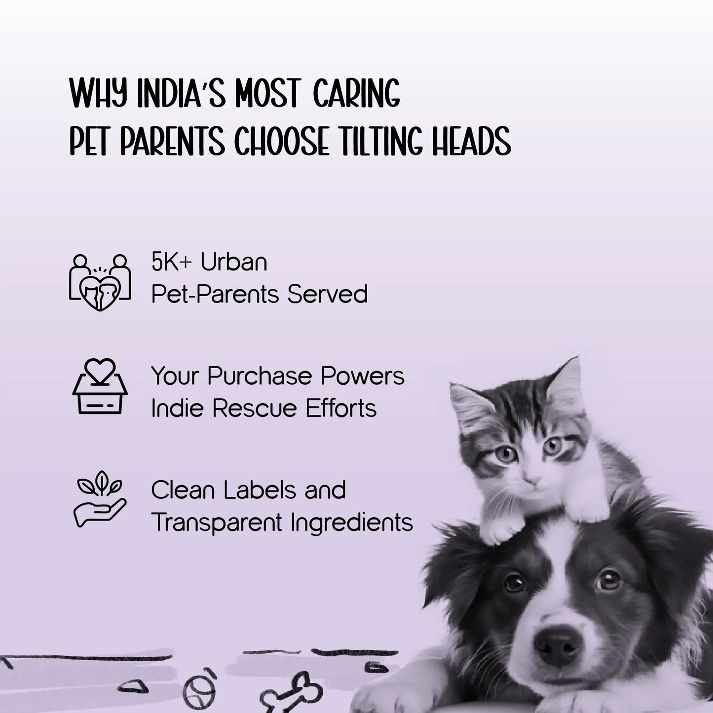 Frolic Harness – Stylish Outfit & Secure Walks - Tilting Heads