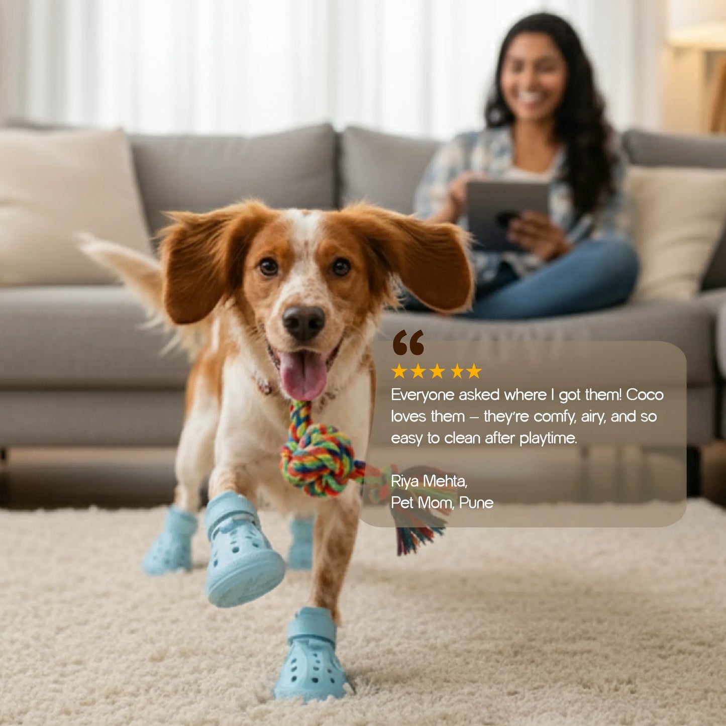 ZeviKix | Breathable Pawwear for Cool, Comfy Walks