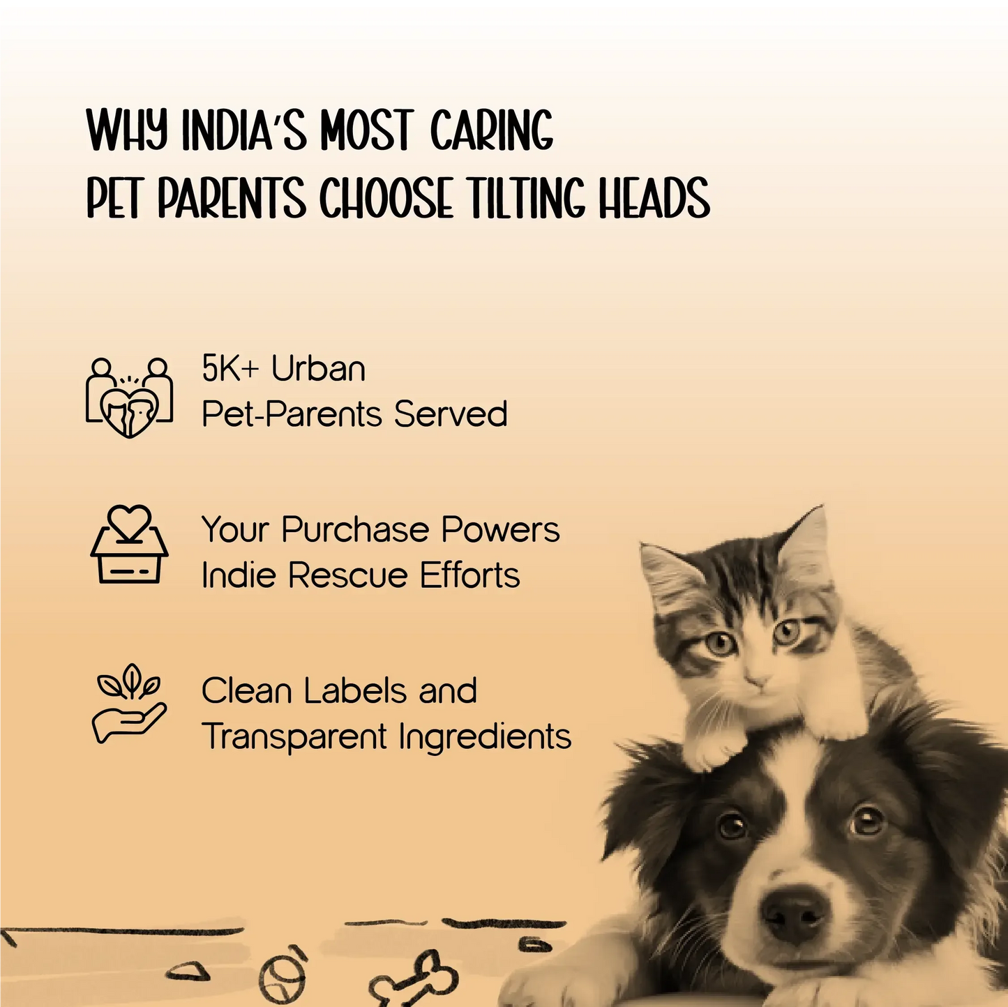 Zoomie Boots – Secure Fit with Zipper & Strap | All-Terrain Paw Safety - Tilting Heads