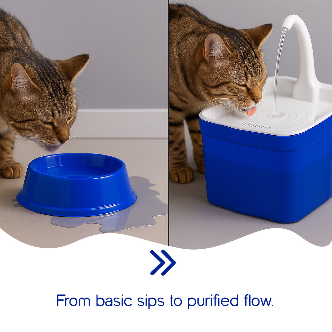 AquaGlow Fountain | Smart Water Dispenser | Designed for Cats & Small Dogs