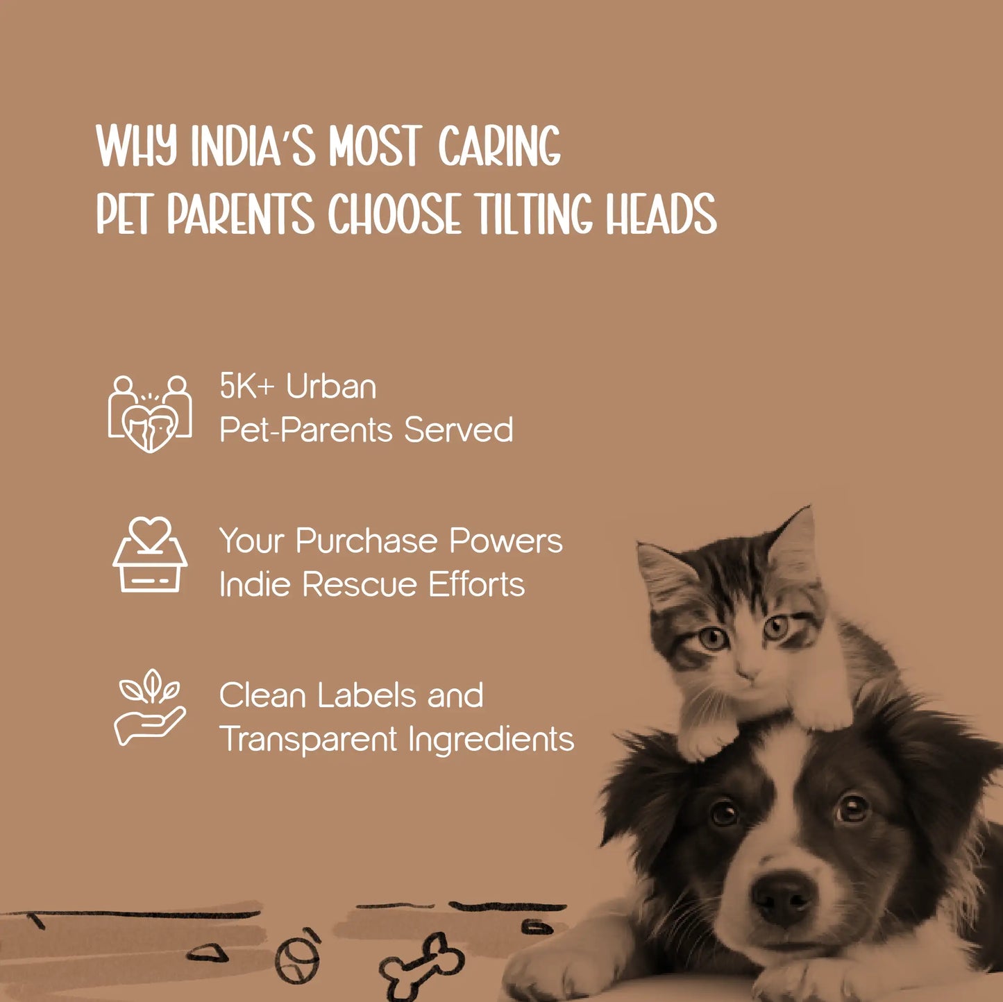 CarMate Pet Seat | Secure Travel for Pets