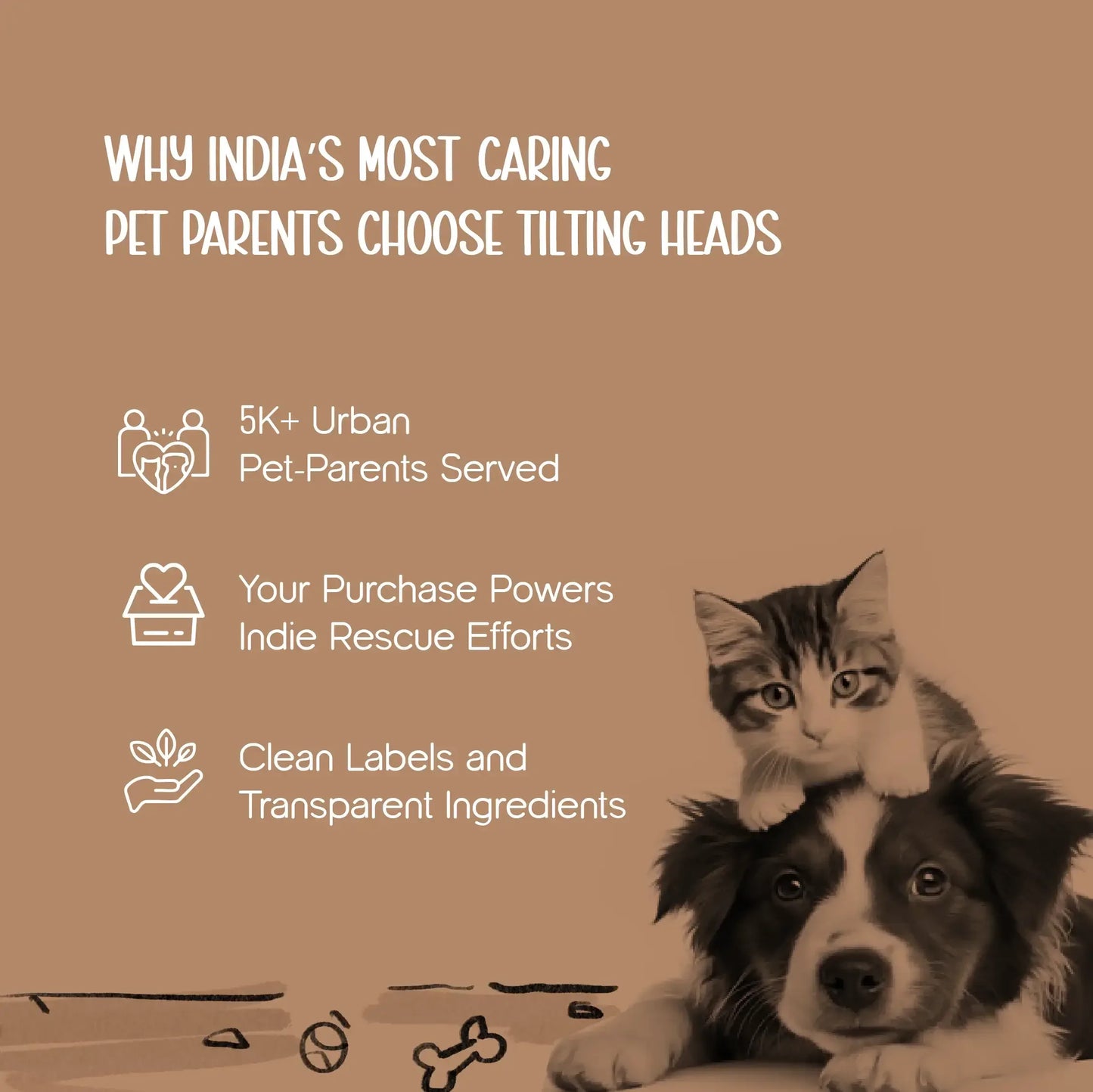 CurlCove Tunnel Bed | Warm, Cozy & Playful Hideout for Cats - Tilting Heads