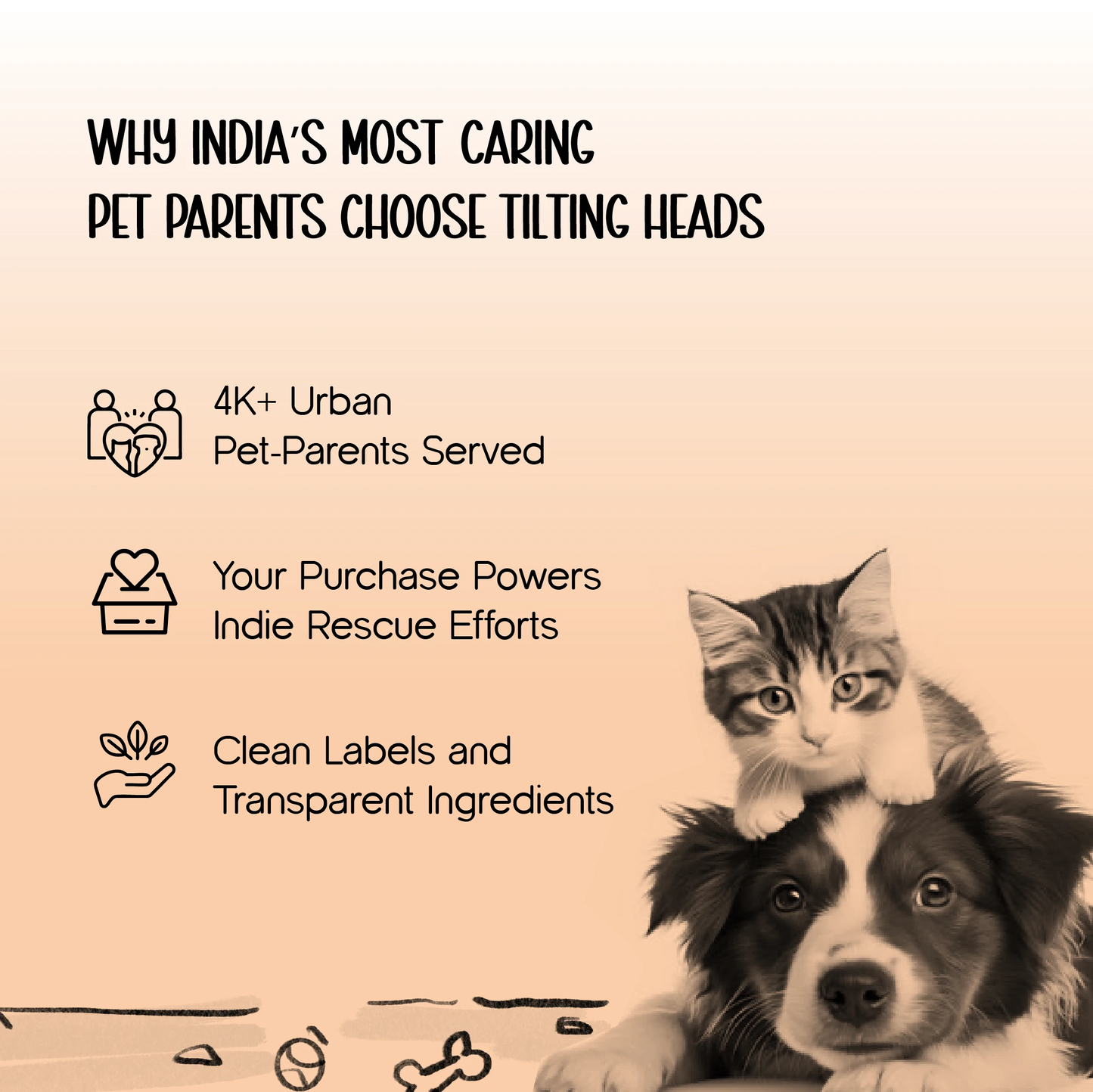 FurLounge Backseat Cover – Car Protection | Pet Comfort | Easy Setup
