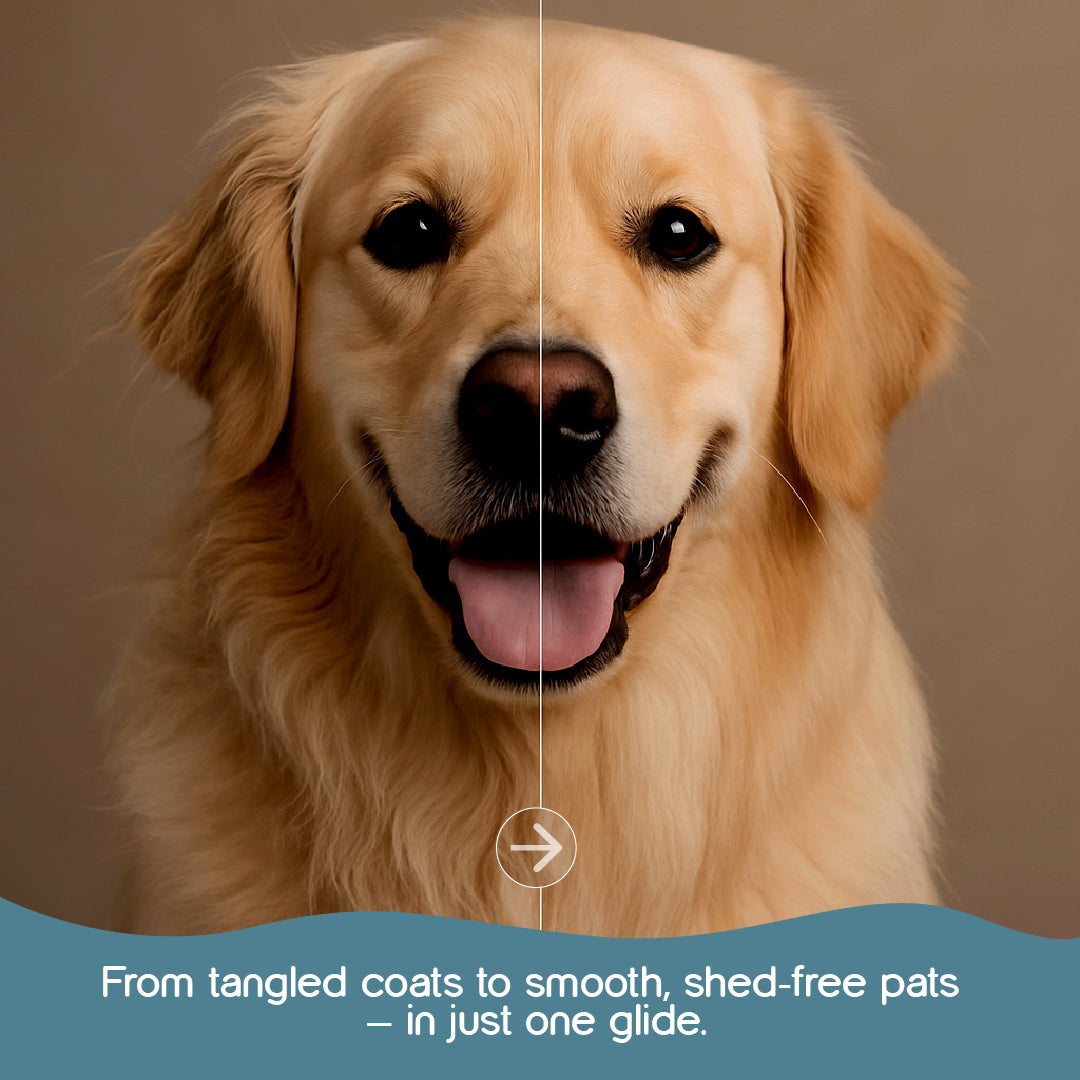 FurEase Click Brush | Pet Grooming Brush | One Glide, Total Shine